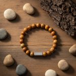 Bracelet homme en jaspe bois brun et barre en acier brossé présenté sur bois avec éléments naturels